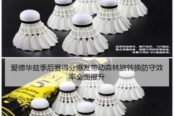 爱德华兹季后赛得分爆发带动森林狼转换防守效率全面提升